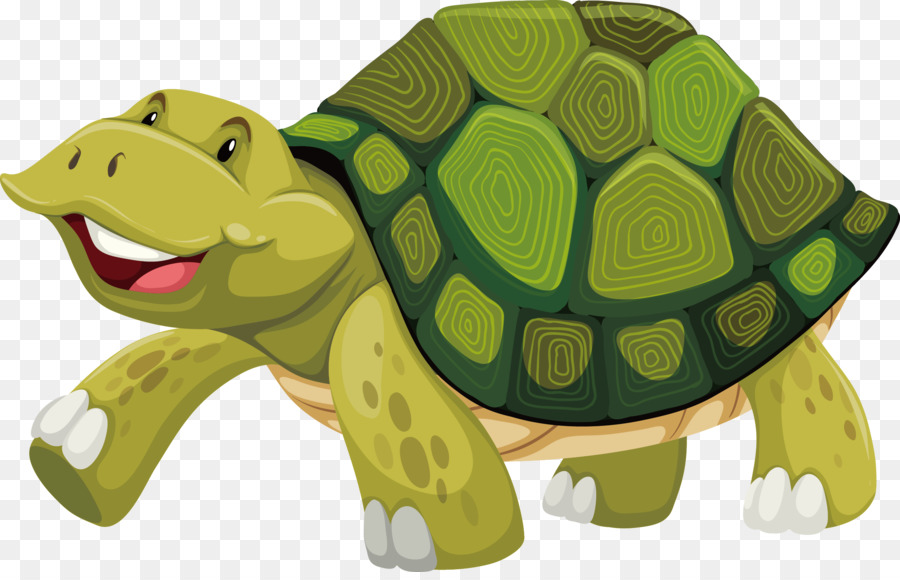 Turtle shell Stock photography Illustration - Turtle Vector png download - 2311*1468 - Free Transparent Turtle png Download.