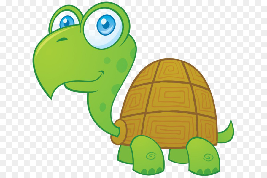 Turtle Vector graphics Royalty-free Image Clip art - turtle png download - 1160*772 - Free Transparent Turtle png Download.