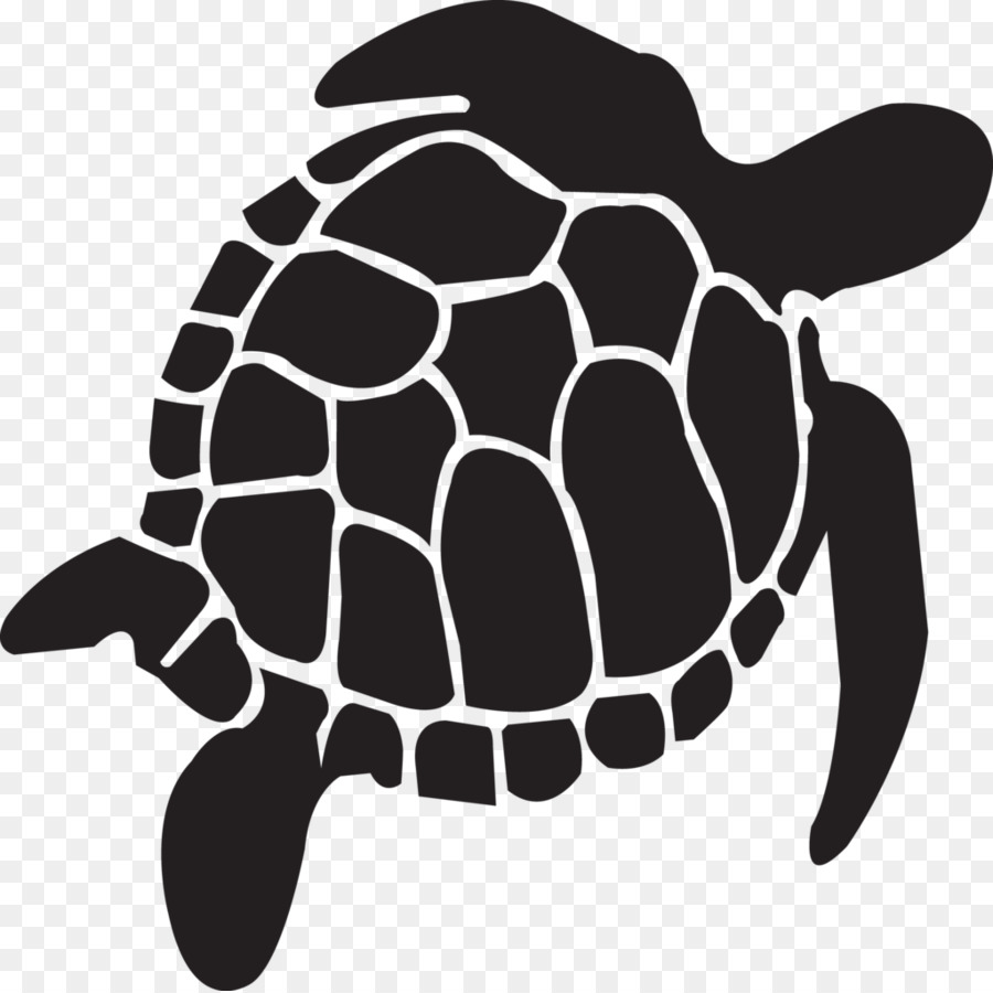 Tortoise Turtle Reptile Vector graphics Portable Network Graphics - turtle png download - 1024*1022 - Free Transparent Tortoise png Download.