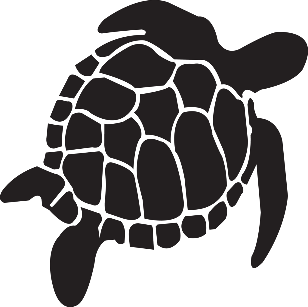 Tortoise Turtle Reptile Vector Graphics Portable Network Graphics 64740 ...