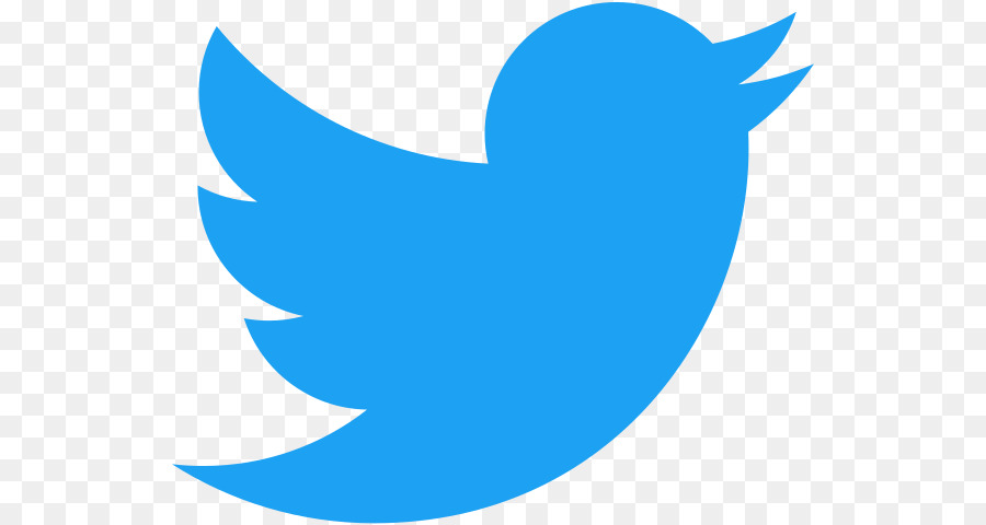 Logo YouTube - twitter bird png download - 590*480 - Free Transparent Logo png Download.