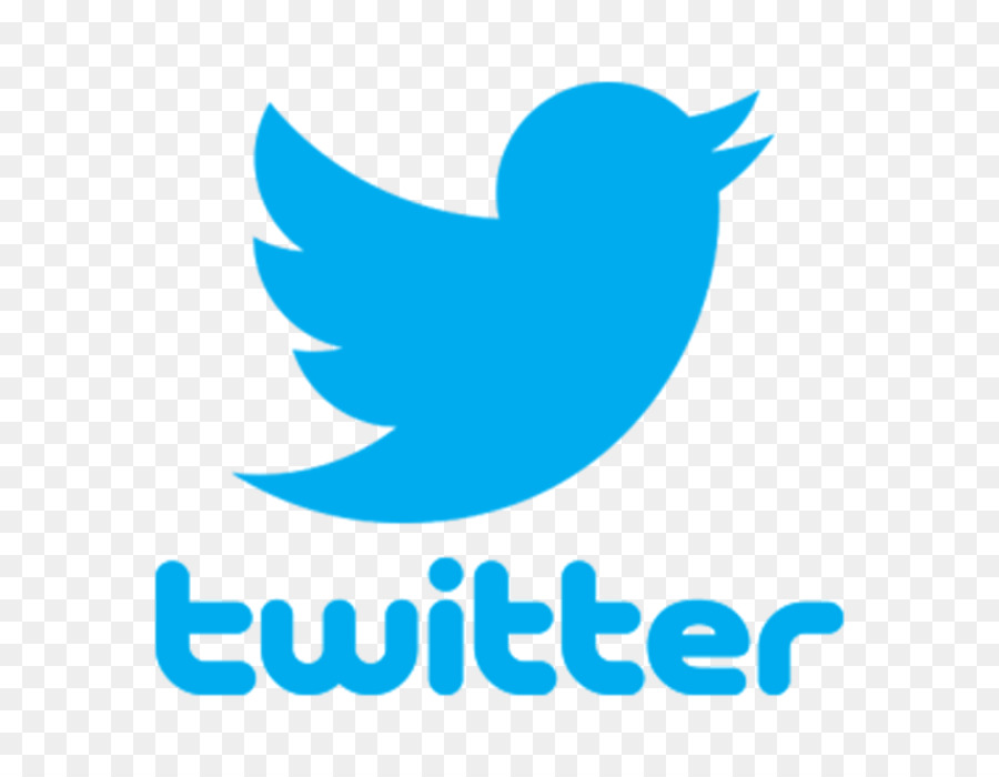 Social media Twitter Blog User - Pajarito png download - 900*700 - Free Transparent Social Media png Download.