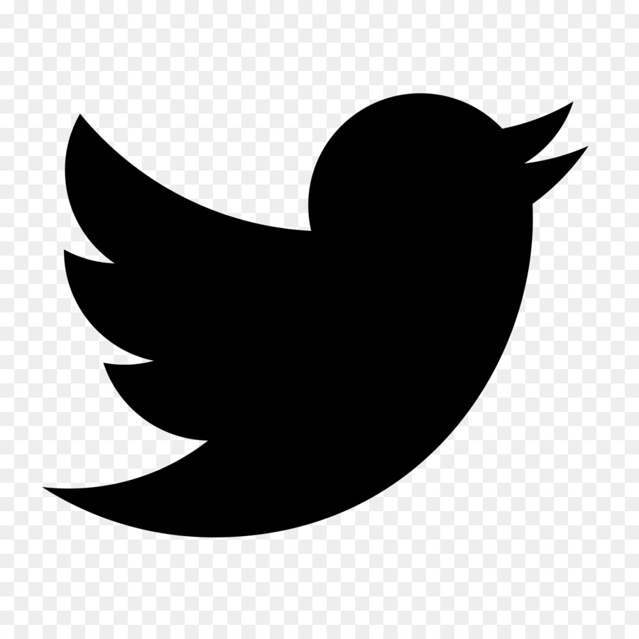 PUBLIC Computer Icons Social media - twitter bird png download - 1600*1600 - Free Transparent Public png Download.