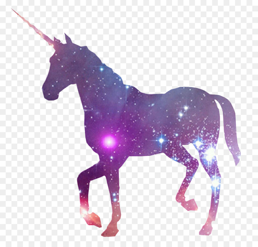 Unicorn horn Fairy tale - unicorn png download - 1024*959 - Free Transparent Unicorn png Download.