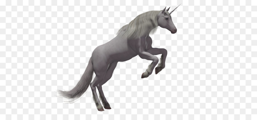 Rarity Winged unicorn Flight - Unicorn PNG png download - 1024*645 - Free Transparent Unicorn png Download.
