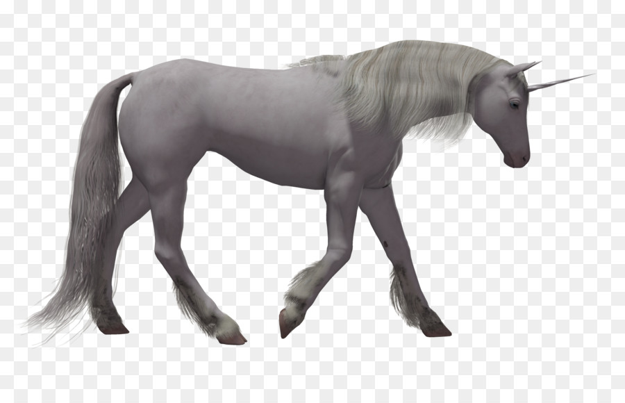 Unicorn Horse Transparency and translucency - Cartoon Creative Cartoon horse png download - 1904*1200 - Free Transparent Unicorn png Download.