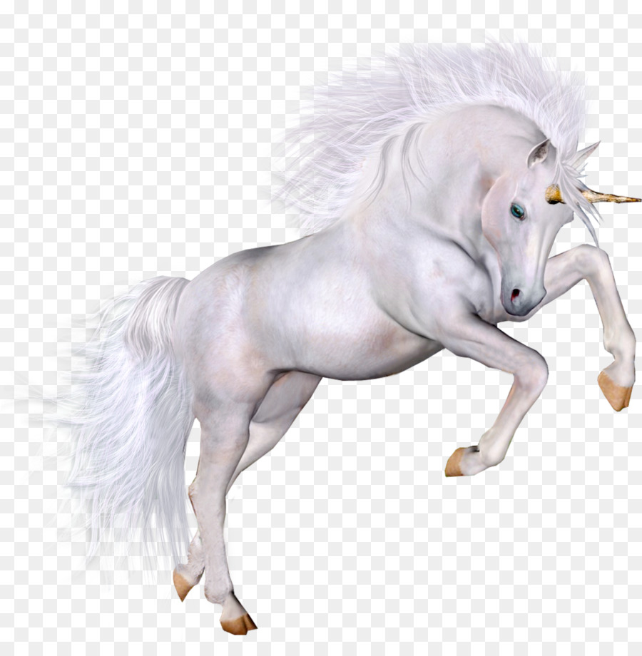 Portable Network Graphics Winged unicorn Image Clip art - unicorn png download - 1130*1132 - Free Transparent Unicorn png Download.