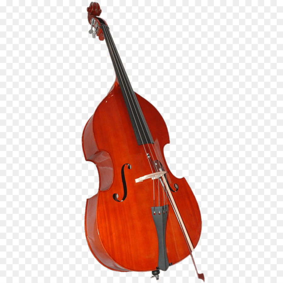 Double bass Bass guitar Viola Violin family String Instruments - Bass Guitar png download - 700*900 - Free Transparent  png Download.