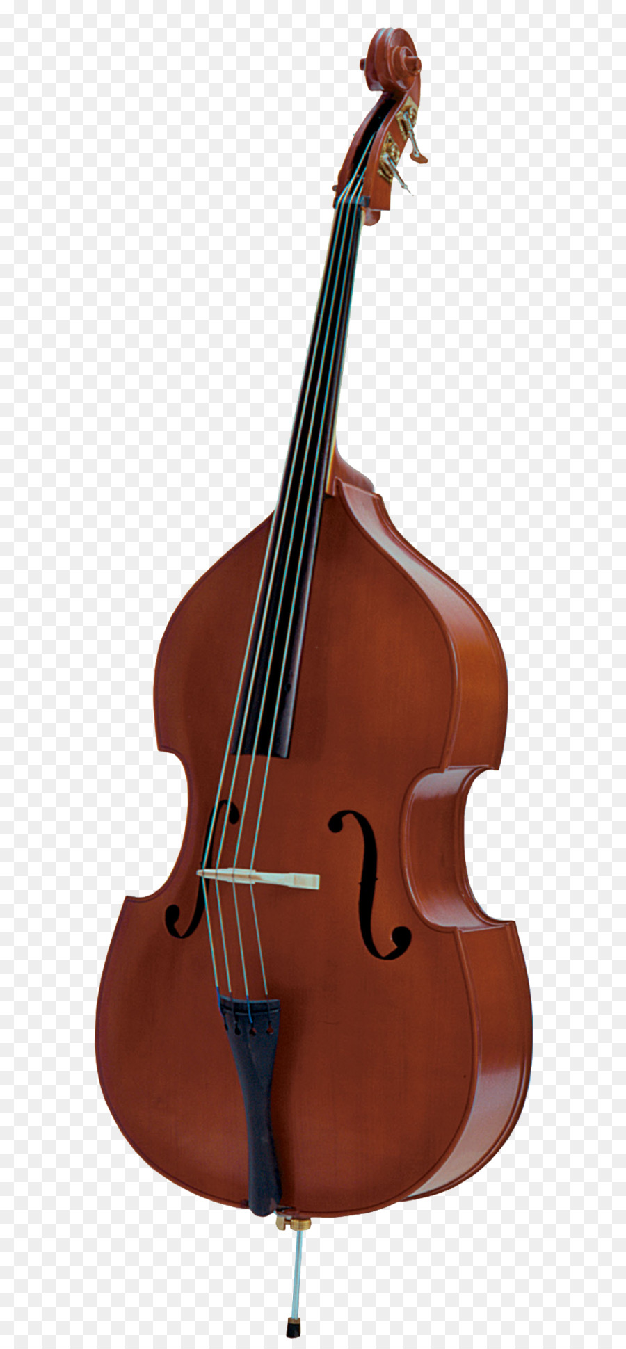 Double bass Bass guitar String Instruments Electric upright bass Musical Instruments - Bass Guitar png download - 700*1937 - Free Transparent  png Download.
