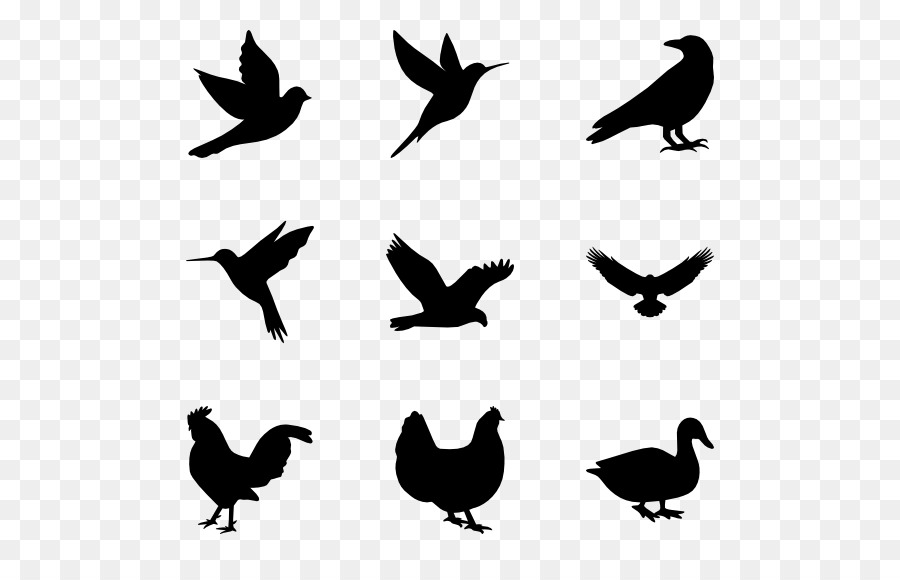 Bird Computer Icons - birds silhouette png download - 600*564 - Free Transparent Bird png Download.