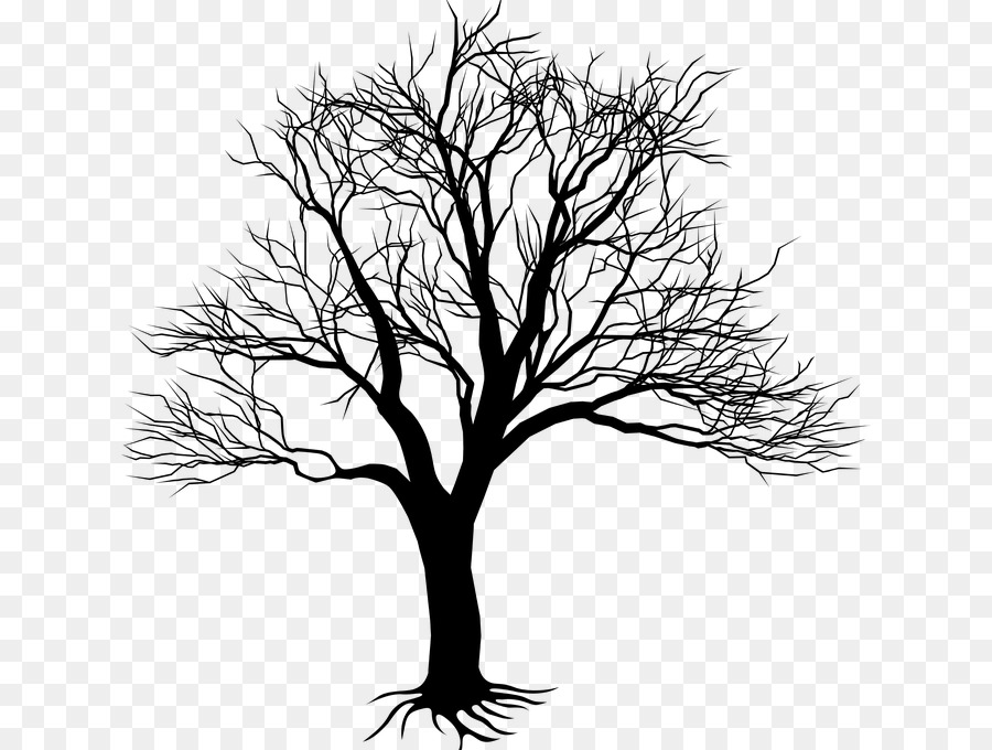 Vector graphics Drawing Tree Stock illustration - aluminum watercolor png download - 680*680 - Free Transparent Drawing png Download.