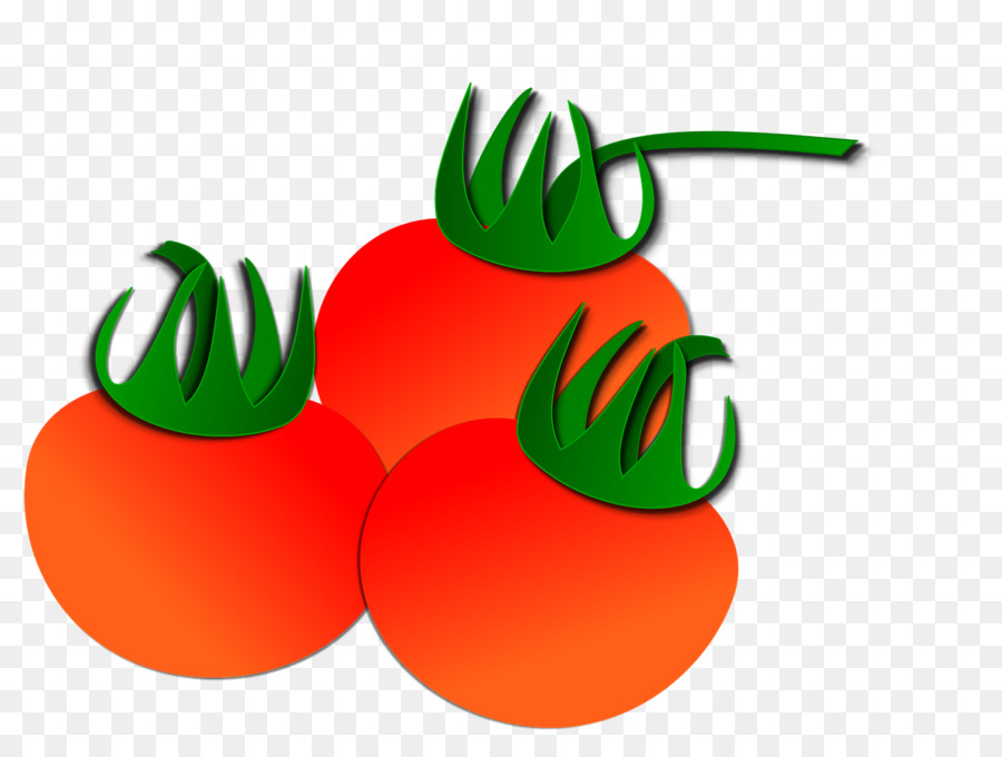 Tomato Vegetables Fruit Clip art - 3 tomatoes transparent background material png download - 1280*966 - Free Transparent Tomato png Download.