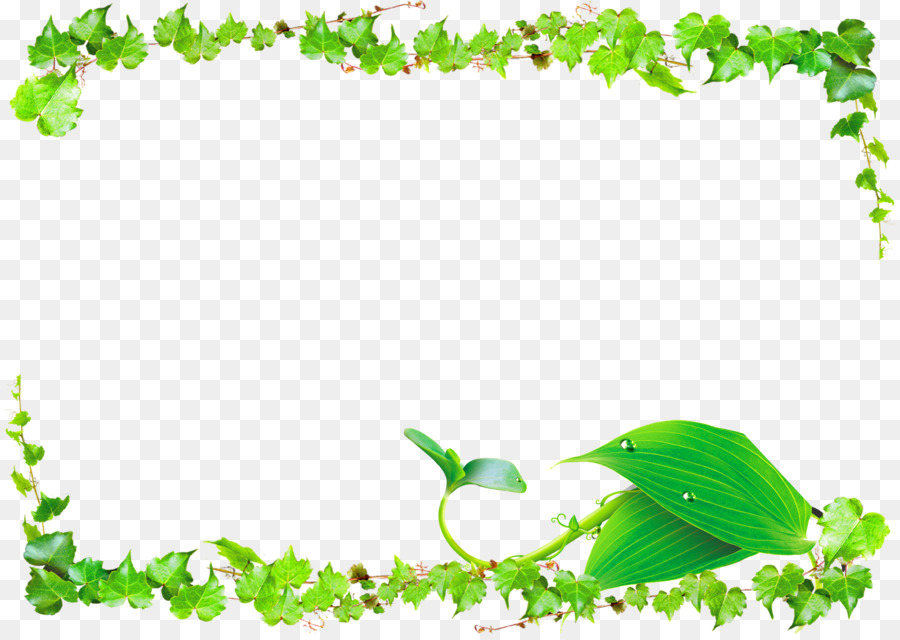 Leaf Green Vine - Vines Border png download - 2450*1725 - Free Transparent Leaf png Download.
