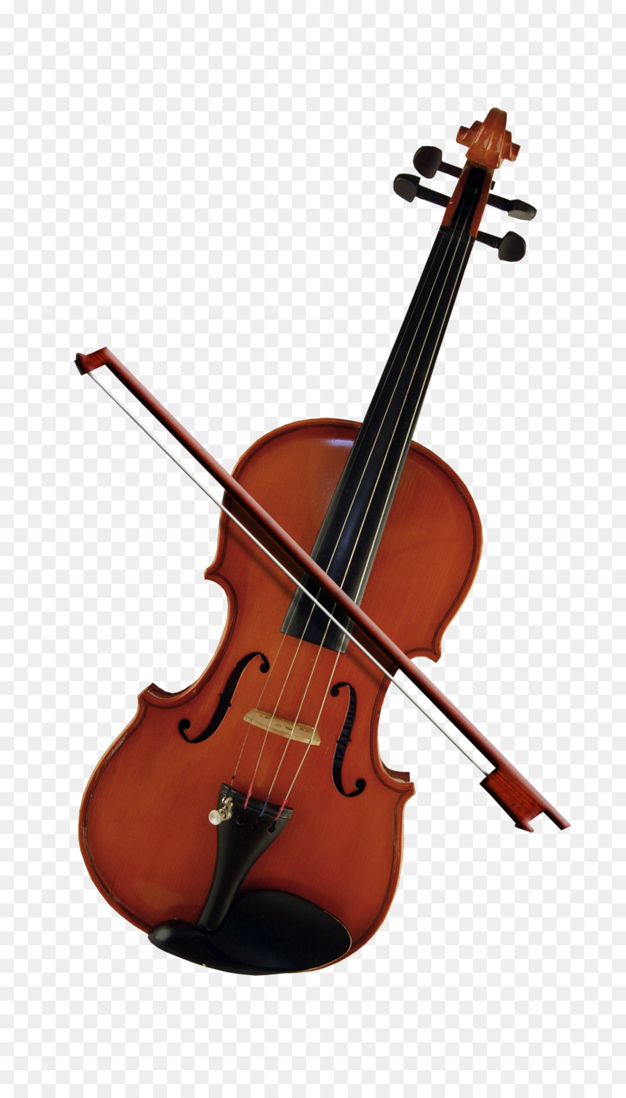 Bass violin Cello Violone Viola - Beautiful violin png download - 1560*2715 - Free Transparent  png Download.