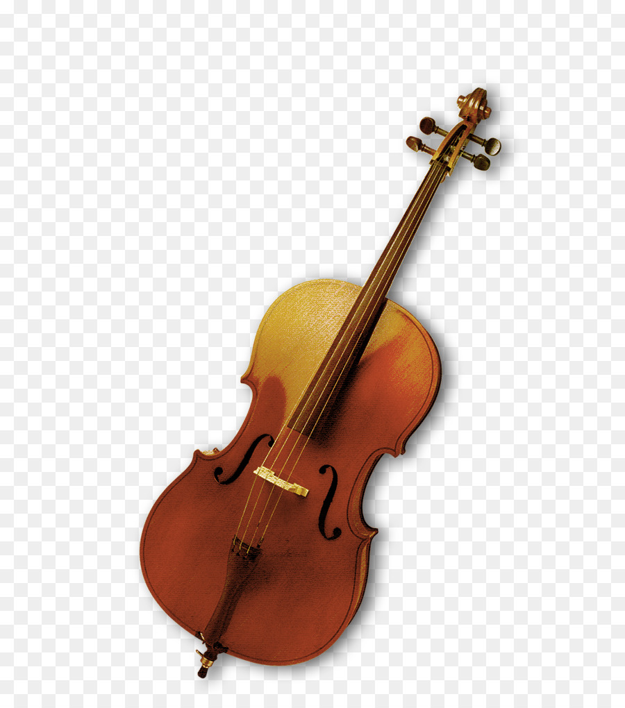 Bass violin Musical instrument Viola - violin png download - 608*1009 - Free Transparent  png Download.