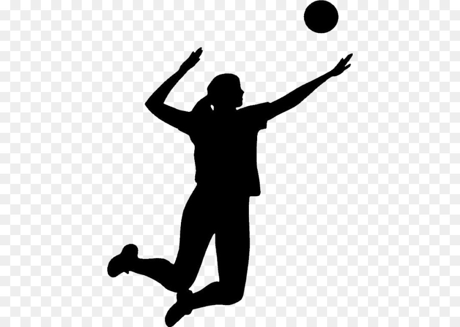 Portable Network Graphics Volleyball Clip art Image Transparency - volleyball png download - 480*640 - Free Transparent Volleyball png Download.