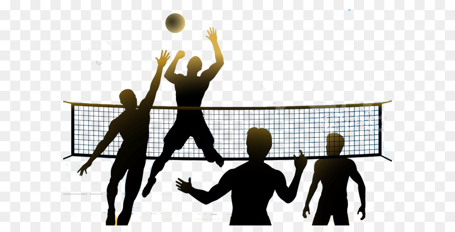 Beach volleyball Tournament Volleyball net Championship - volleyball png download - 650*447 - Free Transparent Volleyball png Download.