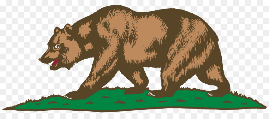 California Republic California grizzly bear Flag of California - bear png download - 2400*1029 - Free Transparent California png Download.