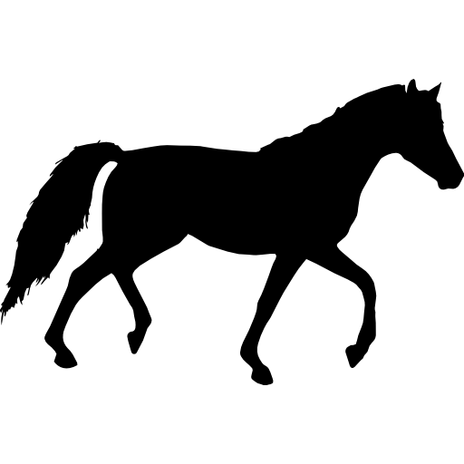 Tennessee Walking Horse Equestrian Clip art - walking horse png ...