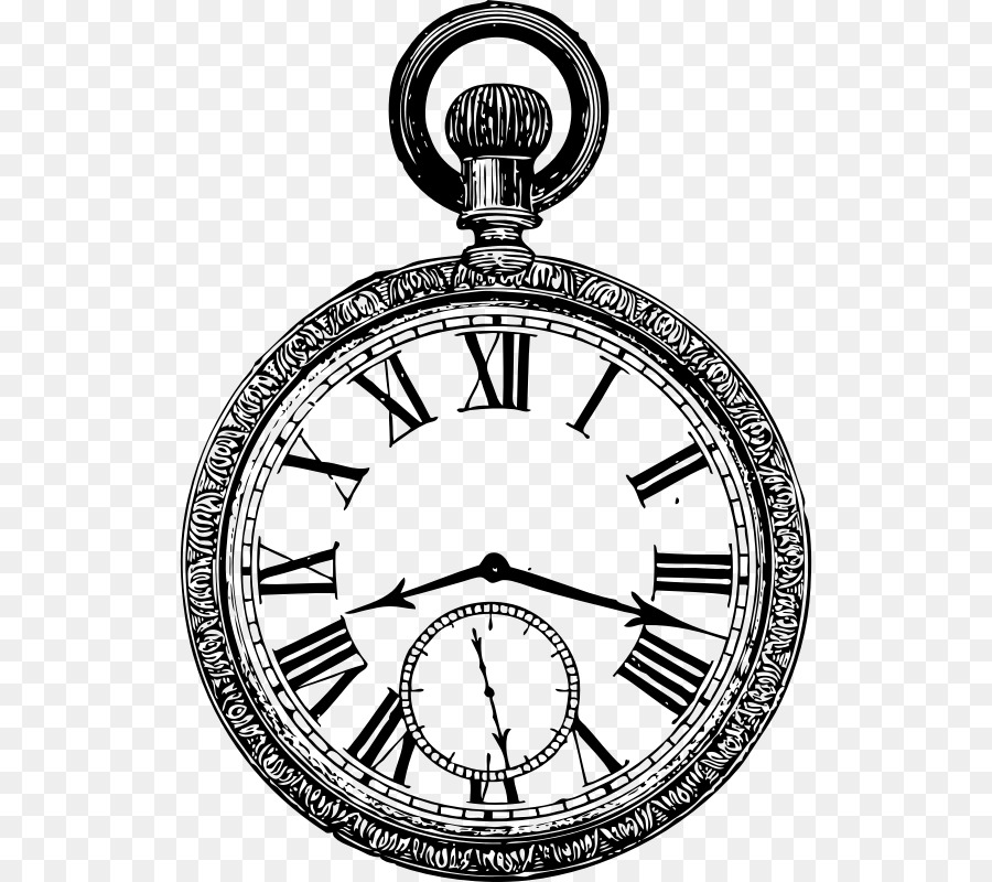 Pocket watch Drawing White Rabbit - watch png download - 800*800 - Free Transparent Pocket Watch png Download.