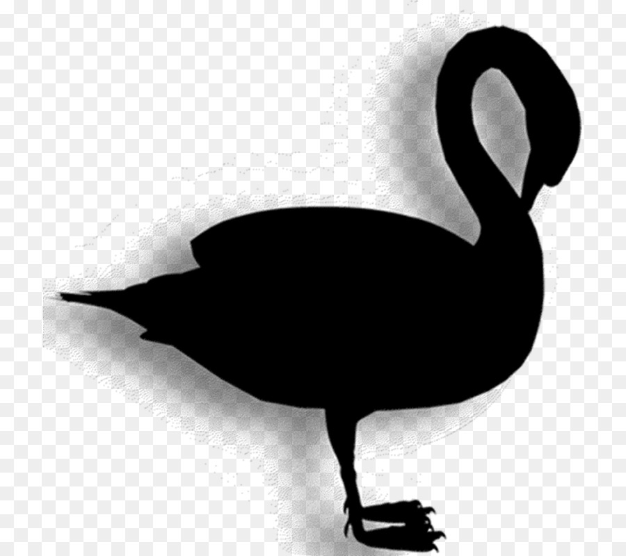 Duck Goose Clip art Fauna Silhouette -  png download - 775*800 - Free Transparent Duck png Download.