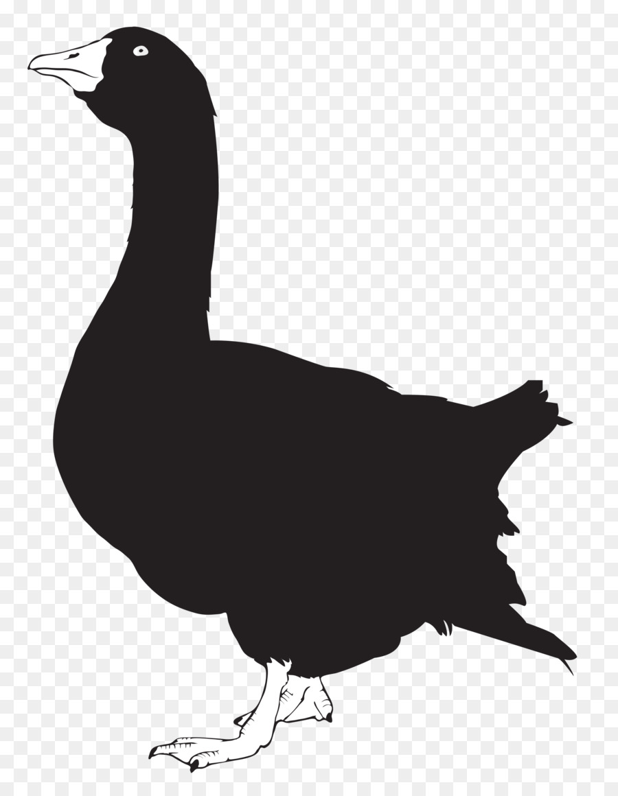 Duck Goose Silhouette Chicken - duck png download - 2000*2545 - Free Transparent Duck png Download.