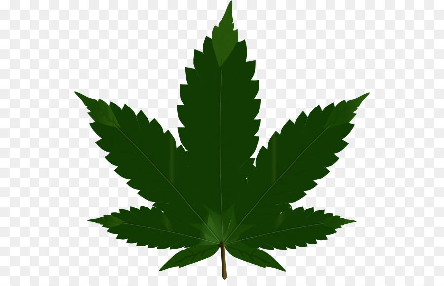 Hash, Marihuana & Hemp Museum Cannabis Blunt Clip art - Leaf Svg png download - 600*567 - Free Transparent Hash Marihuana  Hemp Museum png Download.