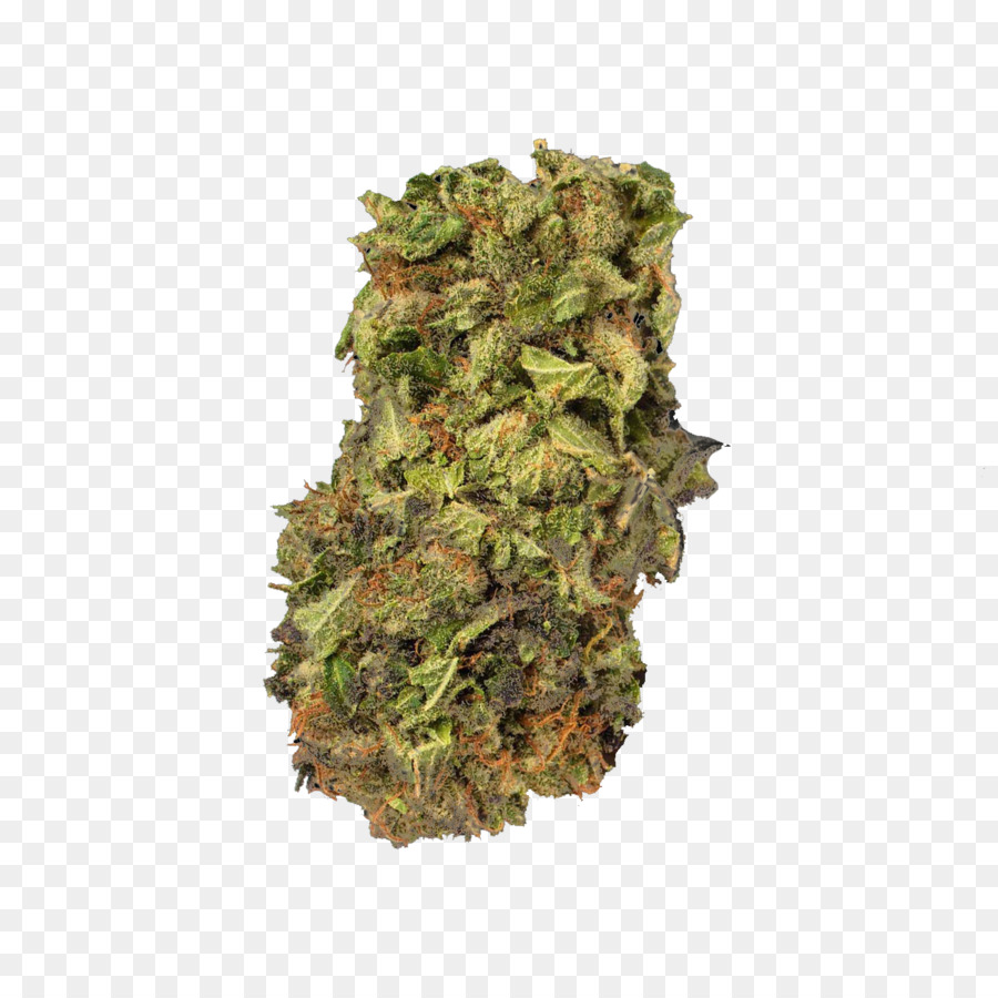 Kush Medical cannabis Cannabis sativa Project MKUltra - weed png download - 1417*1417 - Free Transparent Kush png Download.