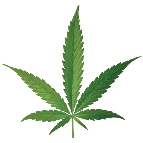 Cannabis smoking Joint Leaf Bud - cannabis png download - 500*500 ...