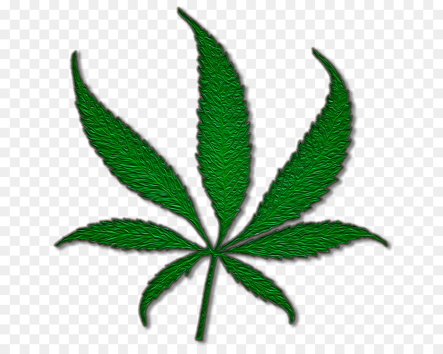Medical cannabis Marijuana Joint Cannabis sativa - Pot plant png download - 720*720 - Free Transparent Cannabis png Download.