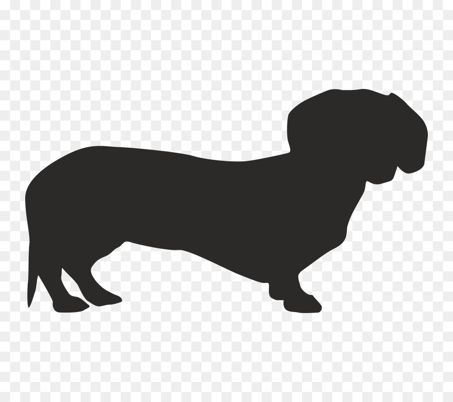 Dachshund Dog breed Dobermann Pet Florida -  png download - 800*800 - Free Transparent Dachshund png Download.