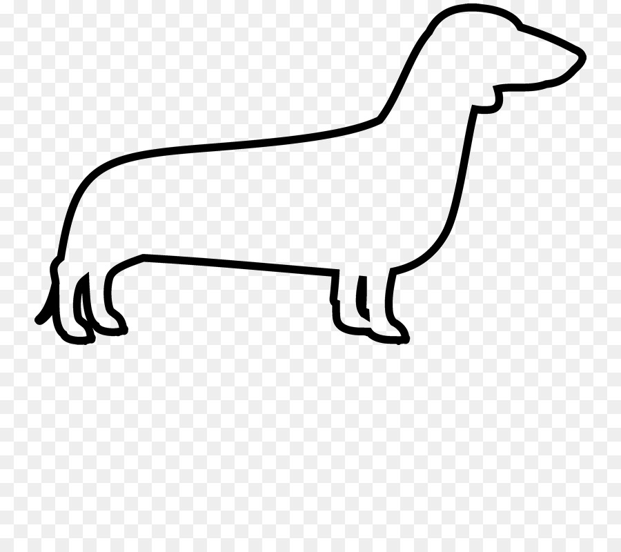 Miniature Dachshund Rough Collie Labrador Retriever Clip art - others png download - 800*800 - Free Transparent Dachshund png Download.