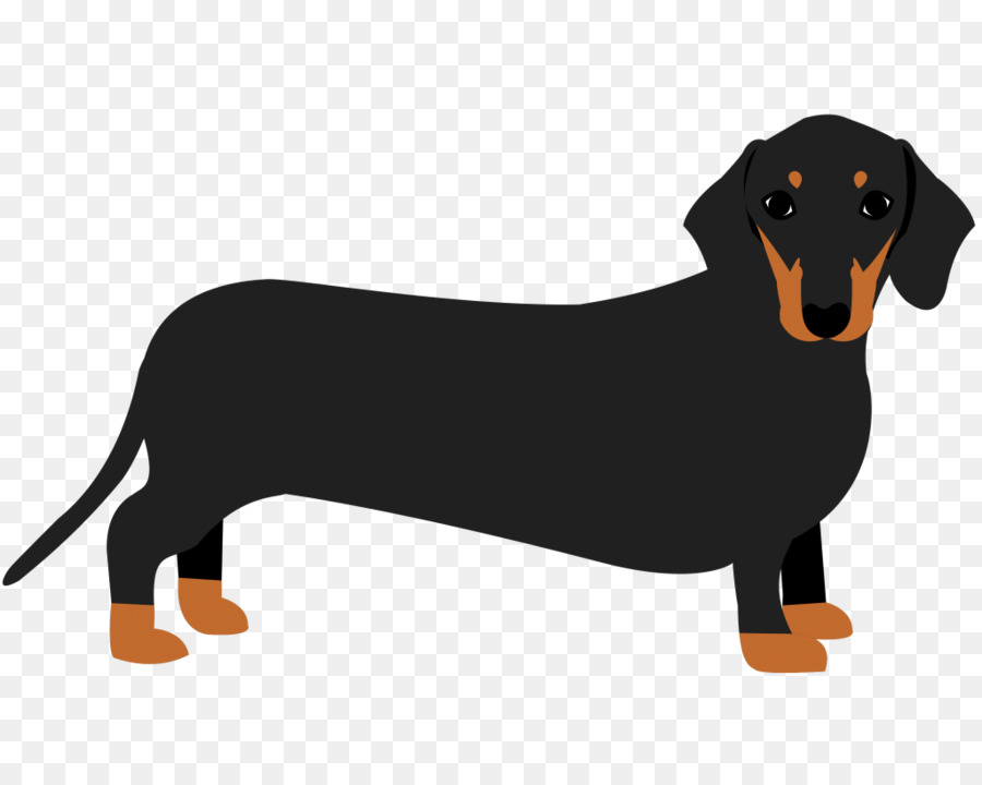 Dachshund Puppy Dog breed Mug Sophisticated Pup - puppy png download - 1024*819 - Free Transparent Dachshund png Download.