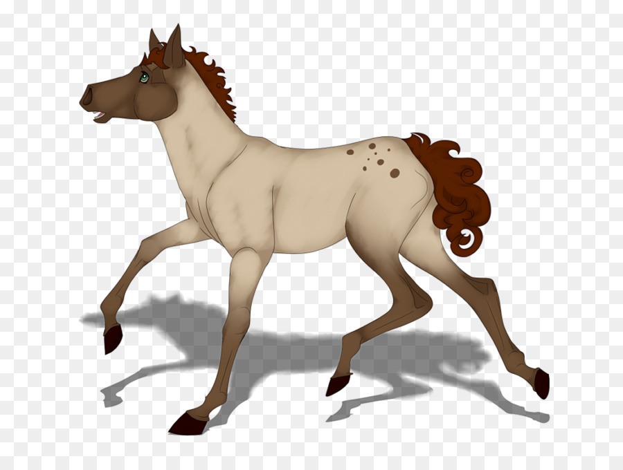 Mustang Pony Stallion Foal Colt - Western Pleasure Horse Silhouette png download - 1000*740 - Free Transparent Mustang png Download.