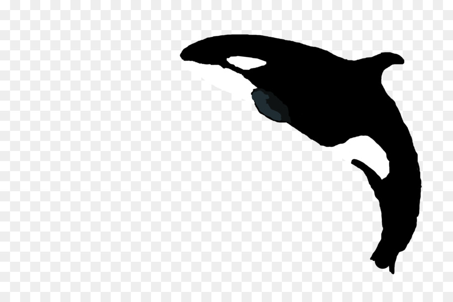 Canidae Dog Marine mammal Silhouette Clip art - killer whale png download - 2261*1496 - Free Transparent Canidae png Download.