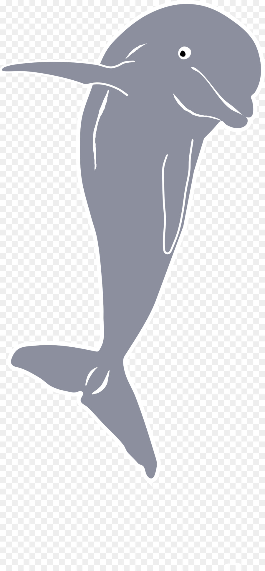 Dolphin Baby Whale Clip art - jumping png download - 1123*2400 - Free Transparent Dolphin png Download.
