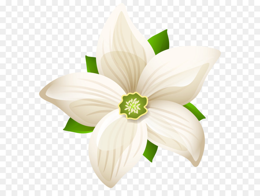 Black and white Flower - Large White Flower Transparent PNG Clip Art Image png download - 8048*8203 - Free Transparent Flower png Download.