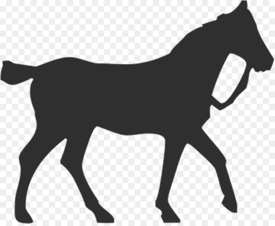 Horse Silhouette Equestrian Pet - whitehorse png download - 2000*1631 - Free Transparent Horse png Download.