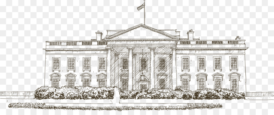 White House Euclidean vector Icon - Sketch the American White House png download - 3274*1341 - Free Transparent White House png Download.