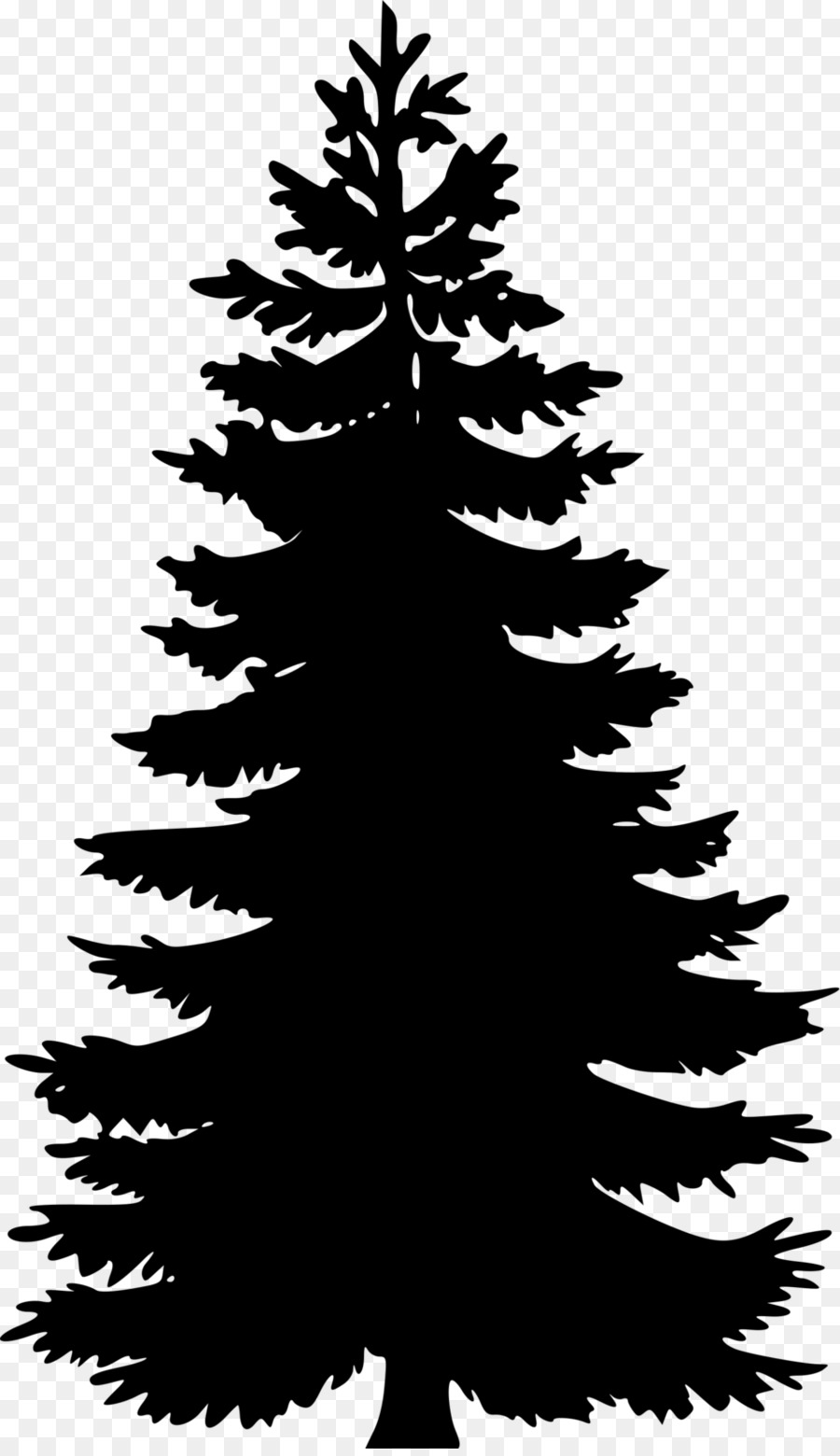 Eastern white pine Tree Clip art - tree png download - 958*1652 - Free Transparent Pine png Download.