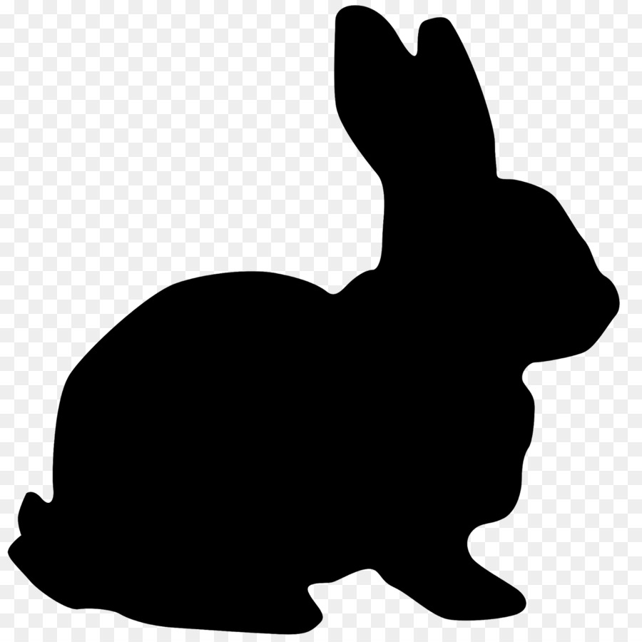 Easter Bunny Hare White Rabbit Clip art - easter rabbit png download - 1600*1600 - Free Transparent Easter Bunny png Download.