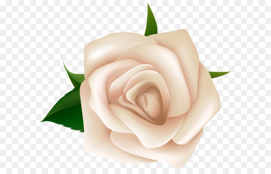 Rose White Clip art - White Rose Clipart PNG Image png download - 6415*5608 - Free Transparent Rose png Download.