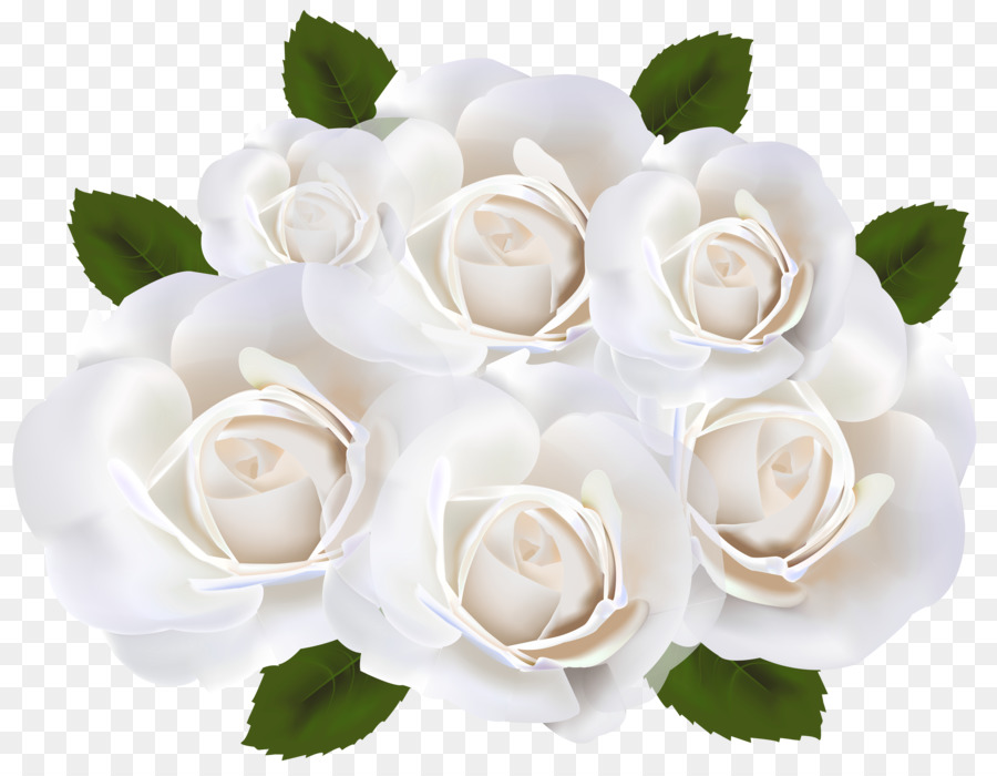 Rose White Wedding ring Clip art - white rose png download - 7500*5781 - Free Transparent Rose png Download.
