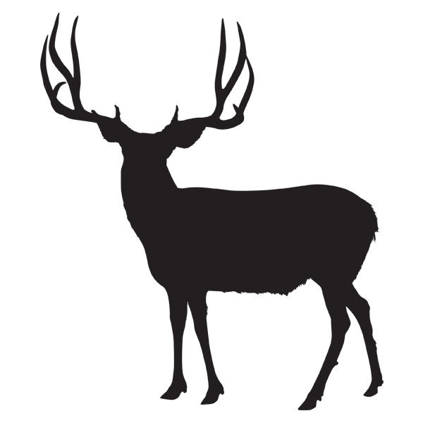 White Tailed Deer Reindeer Silhouette Clip Art Deer P - vrogue.co