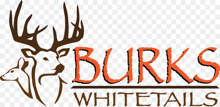 White-tailed deer Deer hunting Outfitter - deer png download - 2673*1300 - Free Transparent Deer png Download.