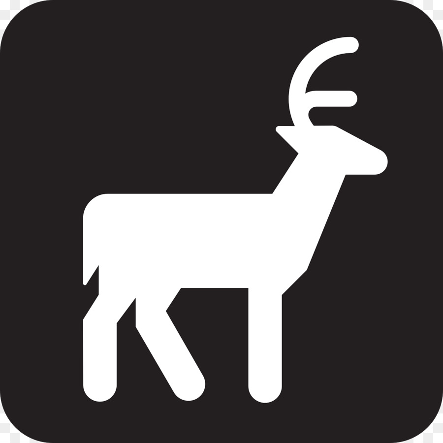 Reindeer White-tailed deer Deer hunting - Reindeer png download - 1280*1280 - Free Transparent Deer png Download.