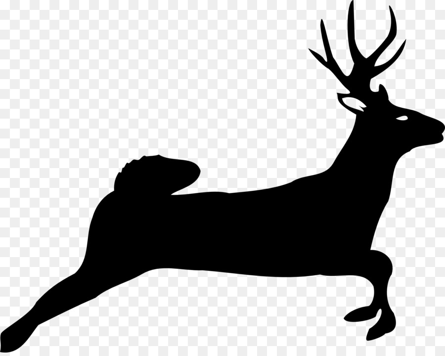 White-tailed deer Moose Clip art - bison png download - 1920*1520 - Free Transparent Deer png Download.