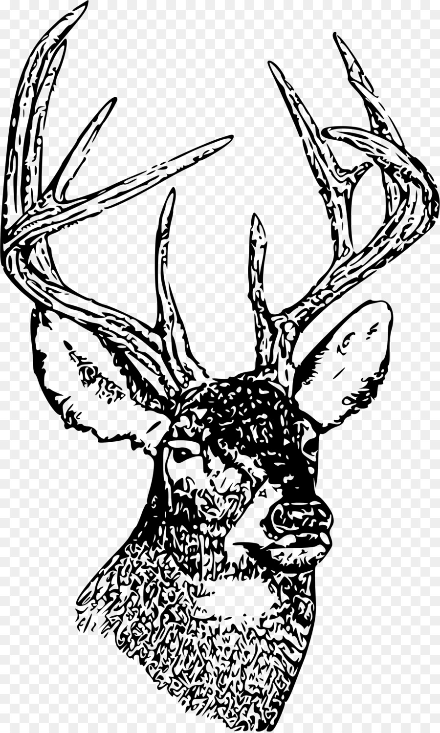 White-tailed deer Moose Clip art - deer head png download - 1439*2394 - Free Transparent Deer png Download.