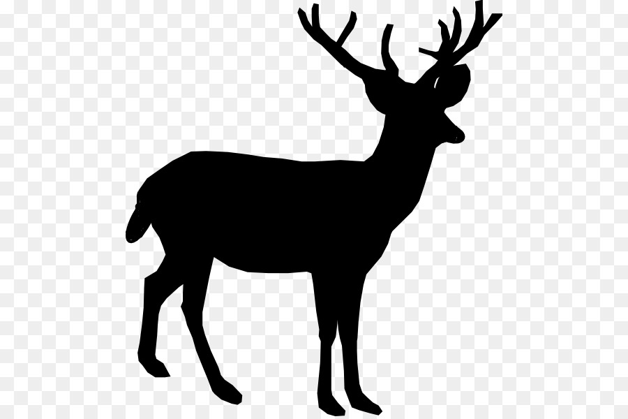 White-tailed deer Reindeer Clip art - deer png download - 540*596 - Free Transparent Deer png Download.