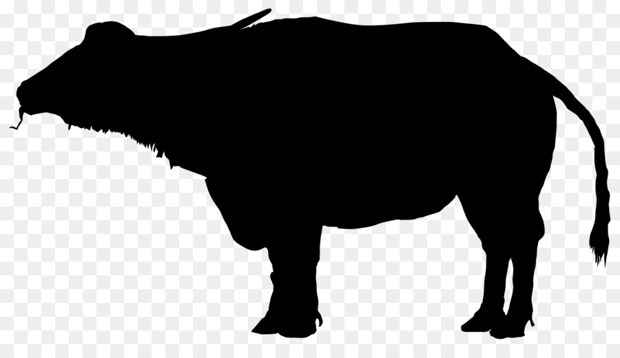 Water buffalo Silhouette Clip art - bison png download - 2000*1124 - Free Transparent Buffalo png Download.